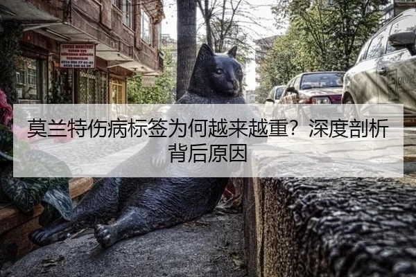莫兰特伤病标签为何越来越重？深度剖析背后原因